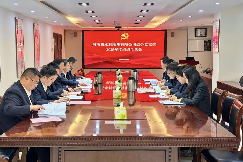 公司综合党支部召开2025年度组织生活会