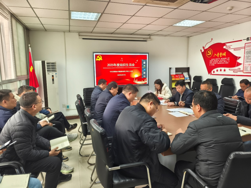 公司岩土党支部召开2025年度组织生活会